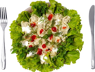 vegetable salad dish