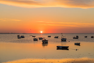 Sail boats sailing on seashores during sunset