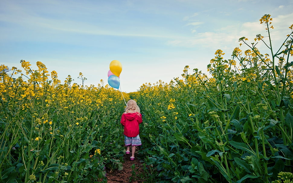 girl in red hoodie walking in the flower field HD wallpaper