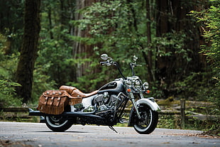 gray touring motorcycle behind forest