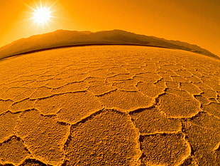orange scale photo of dry land