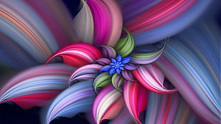 multicolored flower wallpaper HD wallpaper