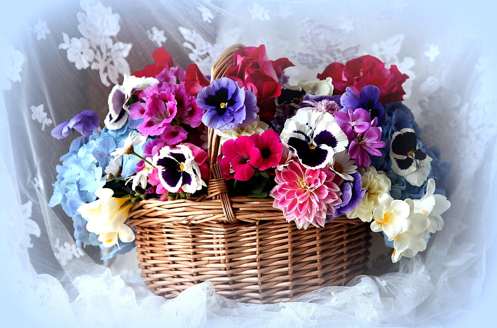 white, pink, and purple flowers in brown wicker basket HD wallpaper