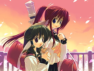 red haired female anime character beside green haired female illustration