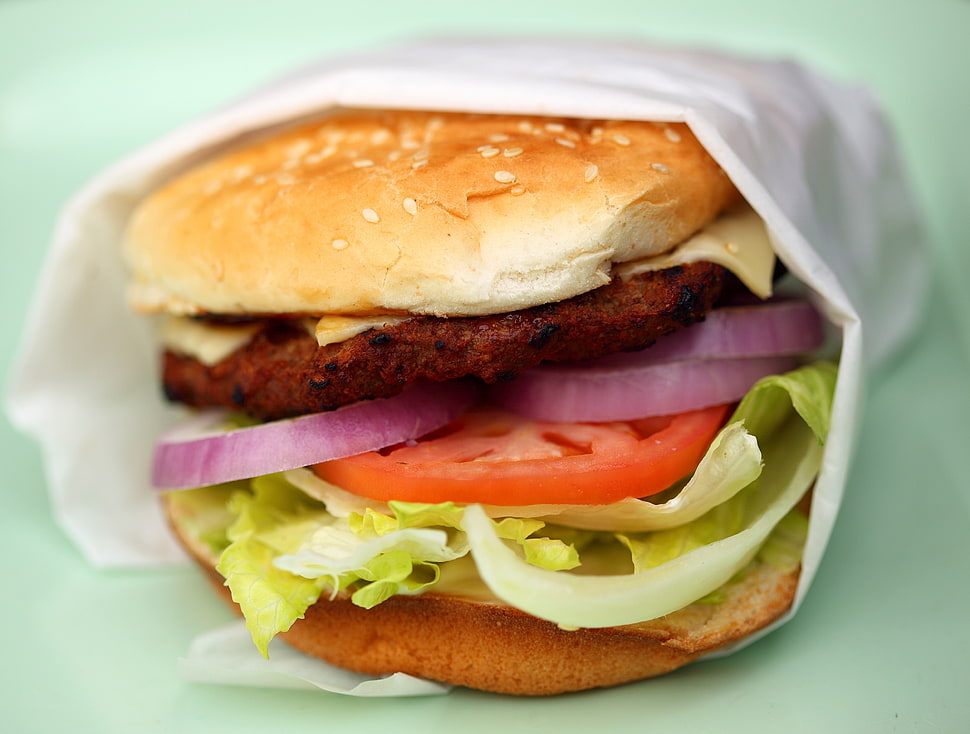 burger with slicer tomato and onions HD wallpaper