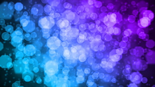 blue and purple bokeh photograph