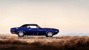 blue convertible coupe, Dodge Challenger 1970, car, road