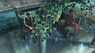 green leaf plant with black pot, The Garden of Words, anime, animation, Makoto Shinkai  HD wallpaper