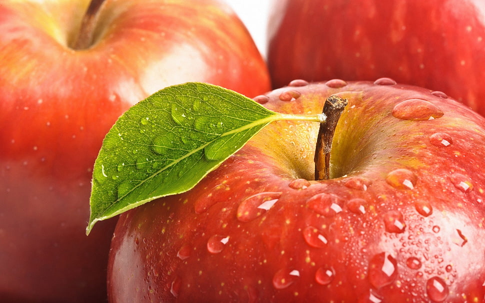 photo of wet red apples HD wallpaper