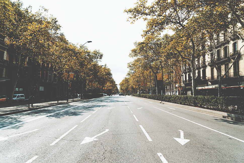 gray straight road, Street, City, Road HD wallpaper