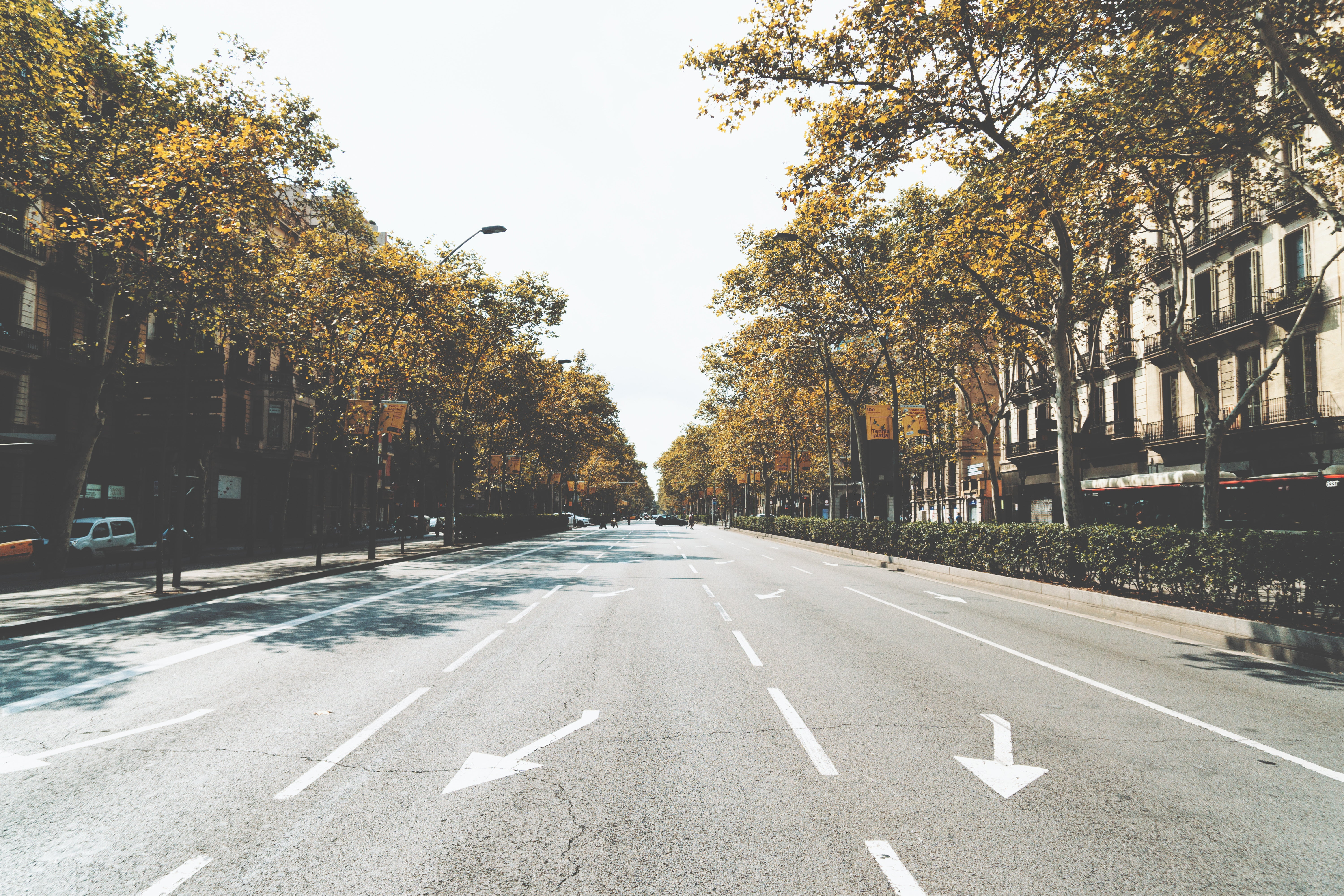 gray straight road, Street, City, Road