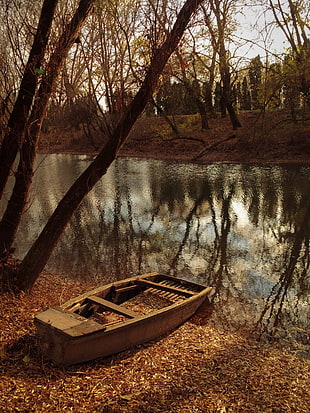 gray jon boat, nature, forest, water HD wallpaper