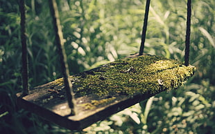 shallow focus photography of brown wooden swing