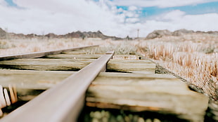 photo of brown wooden train rail near grasses
