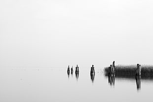 grayscale photo of lake, ralswiek HD wallpaper