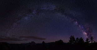 Starry sky,  Trees,  Milky way,  California HD wallpaper