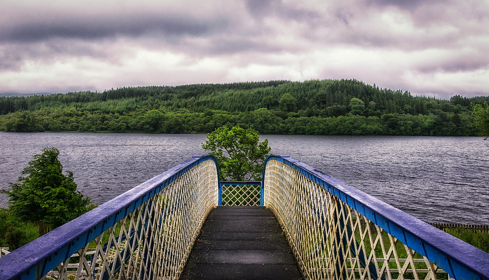 blue and black wooden bridge HD wallpaper