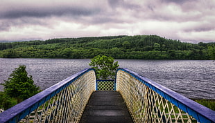 blue and black wooden bridge