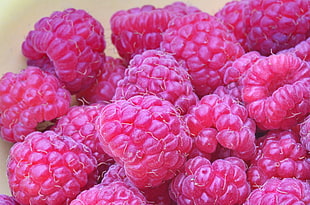 assorted raspberries fruits