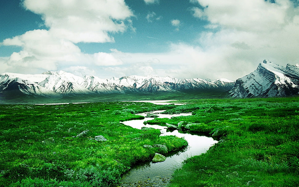 landscape photo of river surrounded by green grass HD wallpaper