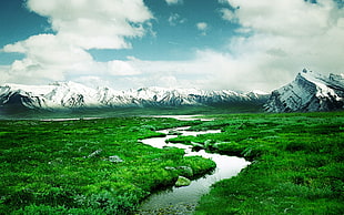 landscape photo of river surrounded by green grass