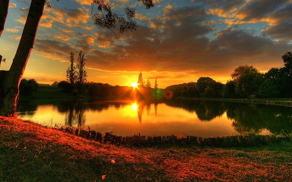 lake with forest during daytime HD wallpaper