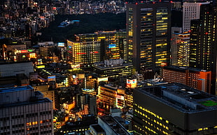 birds eye view of city buildings during night time