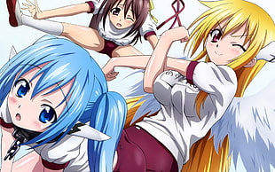 three female anime characters