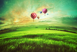 Hot Air balloons wallpaper HD wallpaper