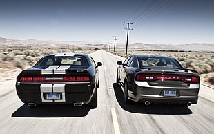 Two Dodge cars, car, Dodge, charger