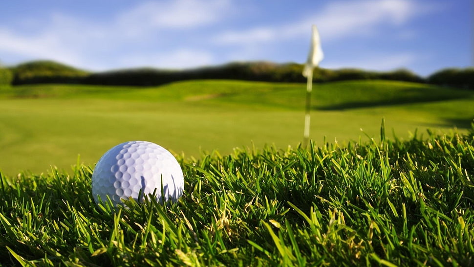 white golf ball, golf HD wallpaper