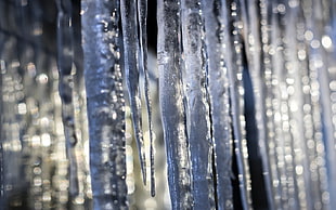 hanging icicles, ice, icicle, depth of field, bokeh