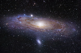 outer space digital wallpaper, Andromeda, space, galaxy, Messier 31 HD wallpaper