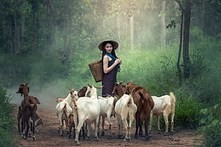 photo of woman herding the goat during day time HD wallpaper