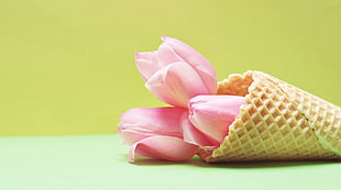 pink flower in brown cone