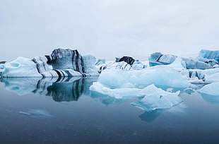 photo of polar icebergs