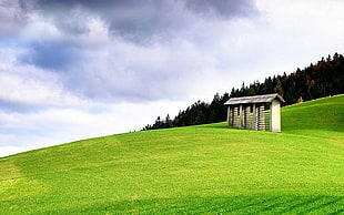 white and brown House in the middle of green grass field