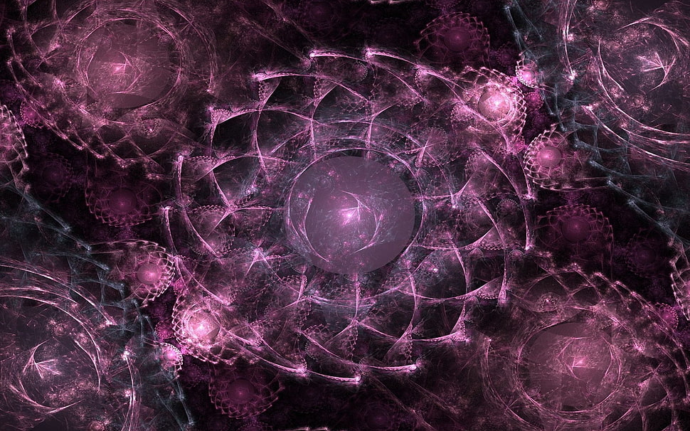 purple ornament HD wallpaper
