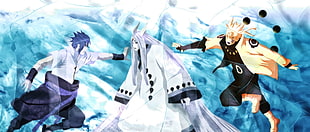 three anime characters digital wallpaper