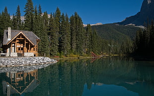 gray and brown wooden house, landscape, lake, house, mountains