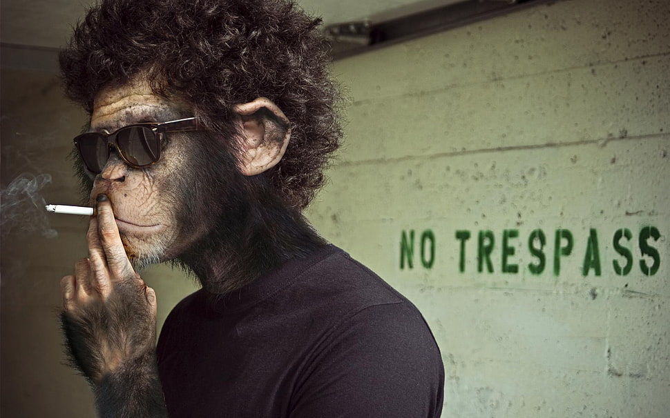 men's black long-sleeved shirt, monkey, smoking HD wallpaper