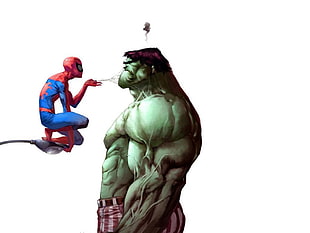 Spider Man and Hulk digital wallpaper