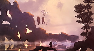 falling stones photo