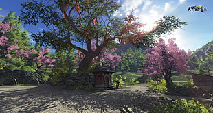 pink cherry blossom tree game application loading screen, WuXia, China, gamers