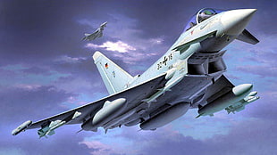 white fighter plane, aircraft, military, airplane, war