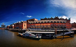 white and gray boat, boat, river, Hamburg, cityscape HD wallpaper