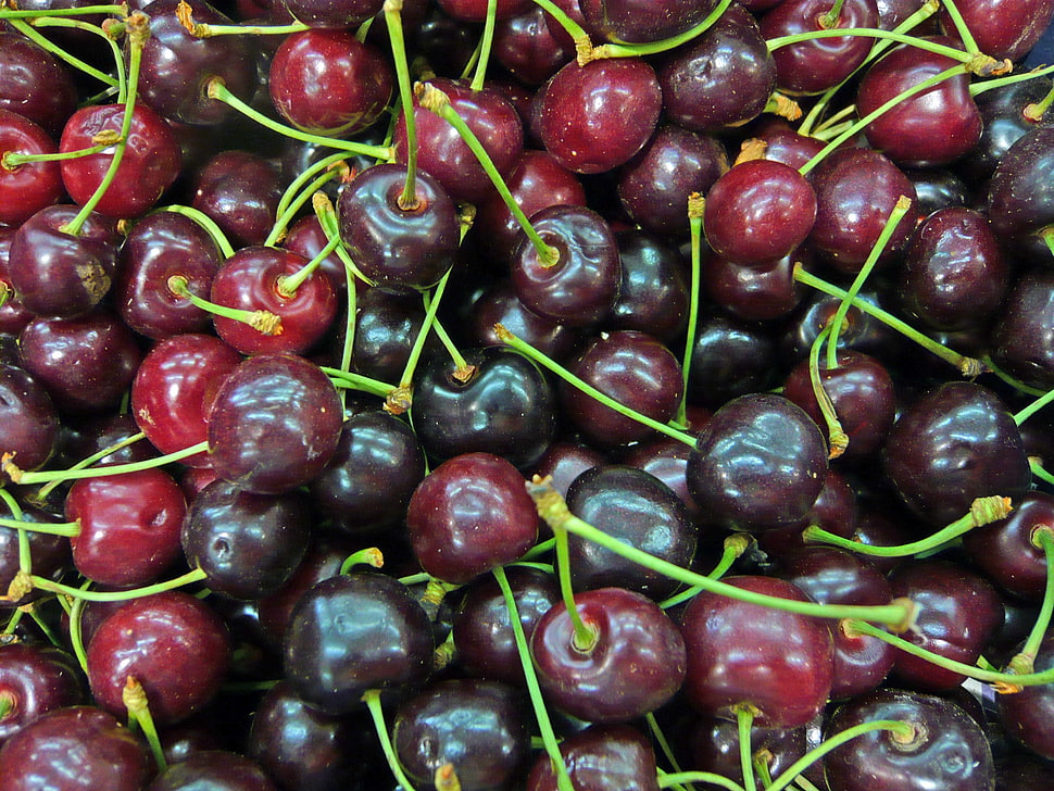 grape fruit lot HD wallpaper