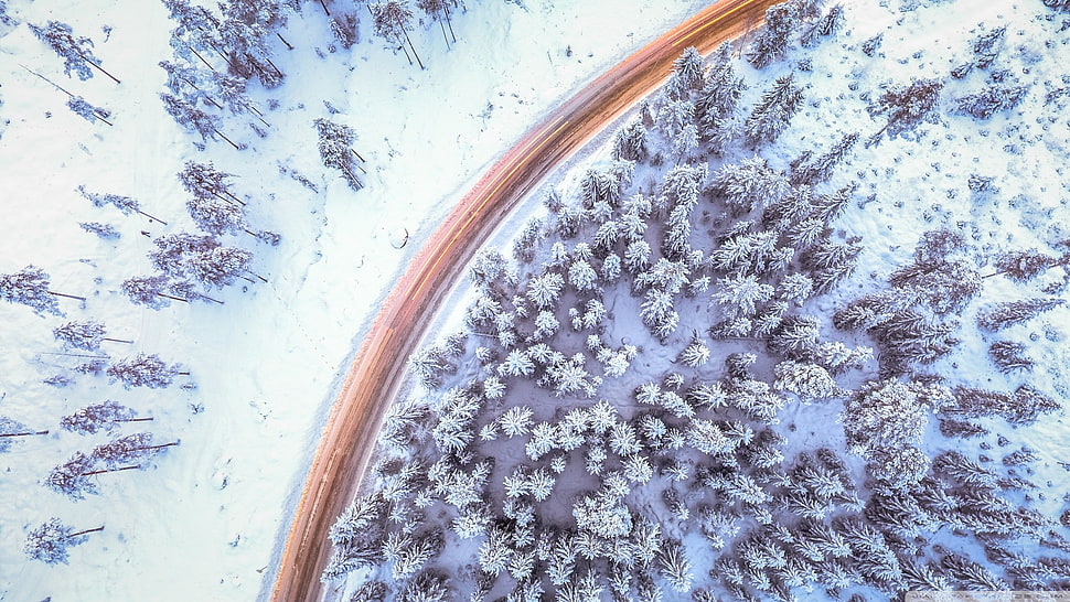 aerial photography of train on snow covered forest, landscape, snow HD wallpaper