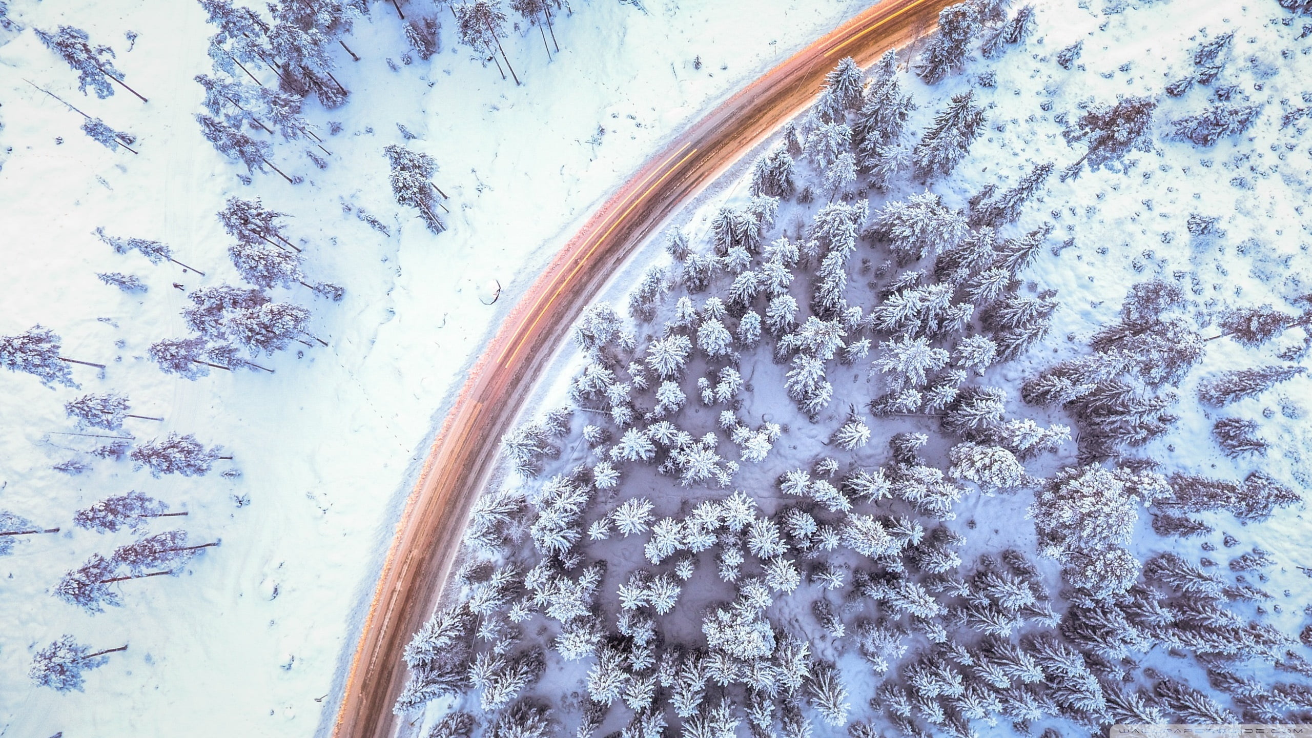 aerial photography of train on snow covered forest, landscape, snow