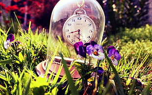 clear glass torsion pendulum clock